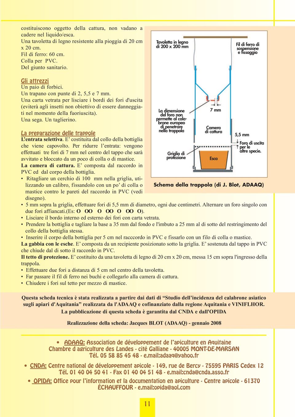 Una carta vetrata per lisciare i bordi dei fori d'uscita (eviterà agli insetti non obiettivo di essere danneggiati nel momento della fuoriuscita). Una sega. Un taglierino.