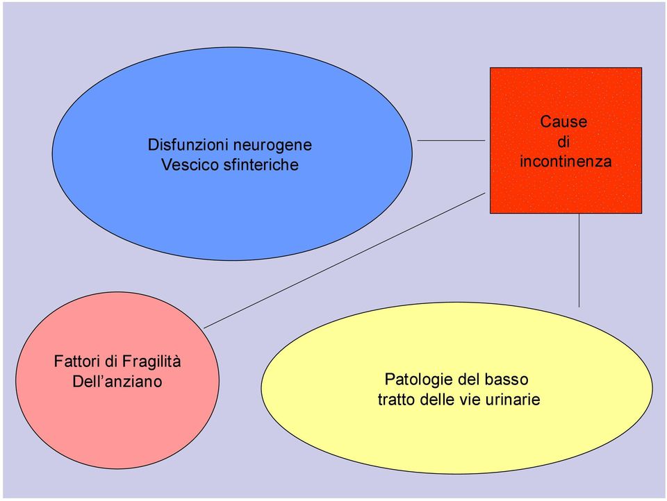 Fattori di Fragilità Dell anziano