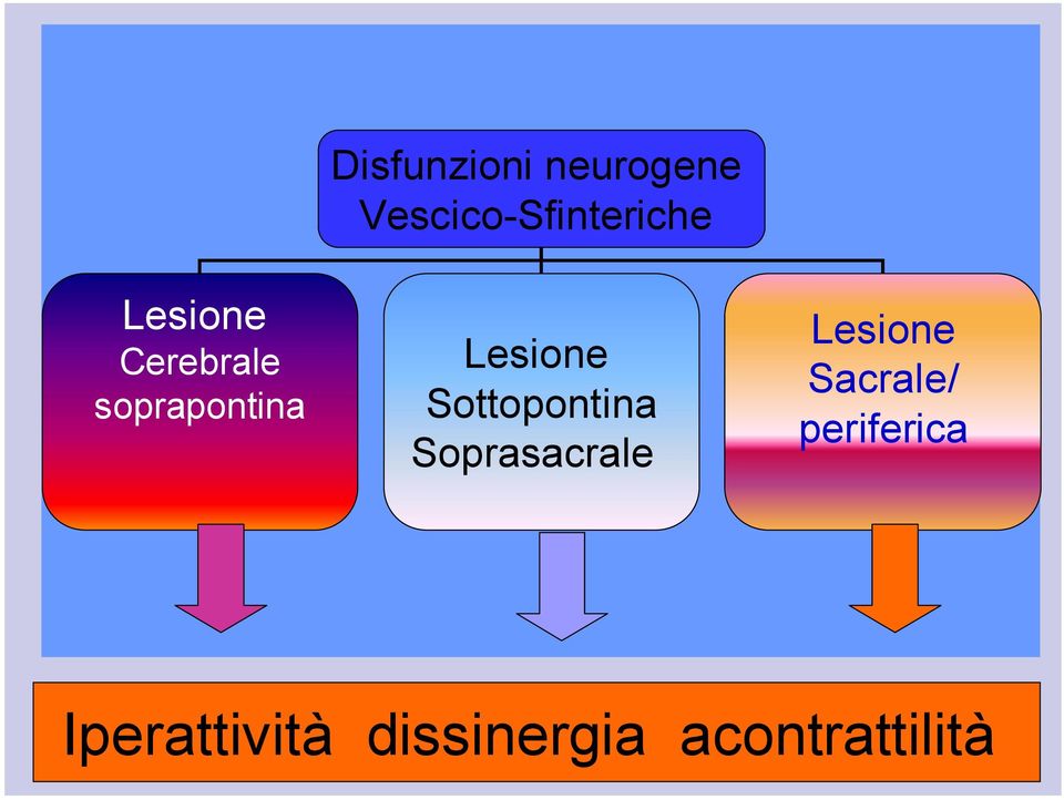 Sottopontina Soprasacrale Lesione Sacrale/