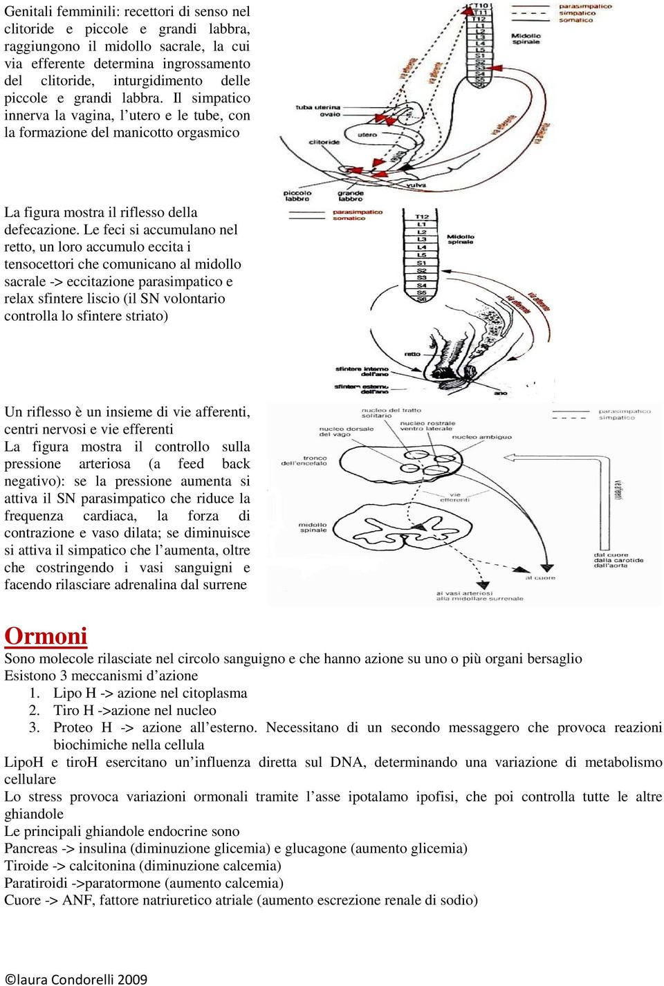 Le feci si accumulano nel retto, un loro accumulo eccita i tensocettori che comunicano al midollo sacrale -> eccitazione parasimpatico e relax sfintere liscio (il SN volontario controlla lo sfintere