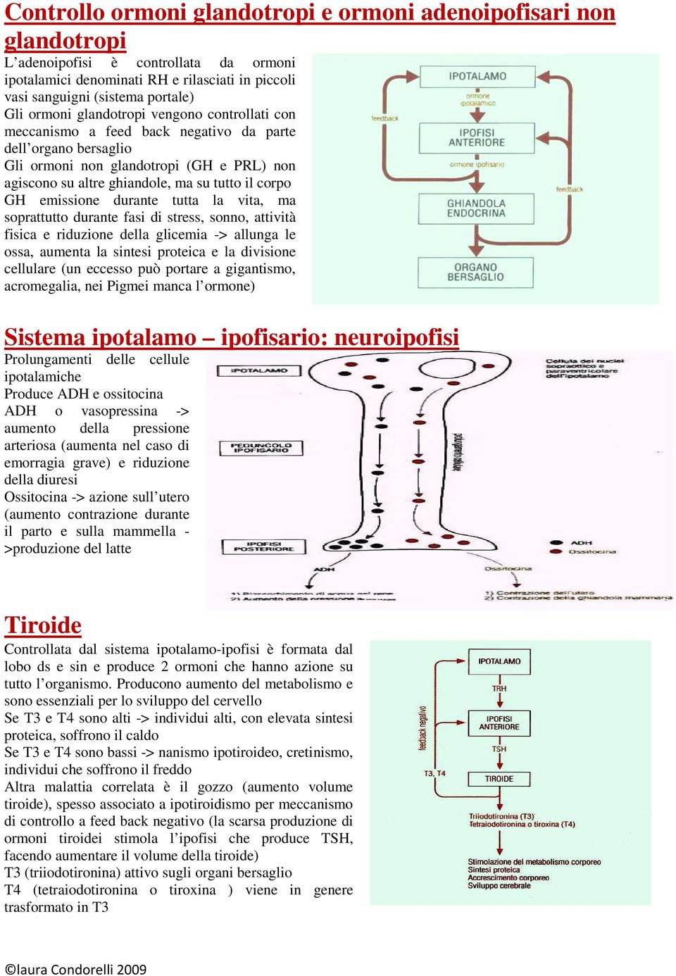 GH emissione durante tutta la vita, ma soprattutto durante fasi di stress, sonno, attività fisica e riduzione della glicemia -> allunga le ossa, aumenta la sintesi proteica e la divisione cellulare