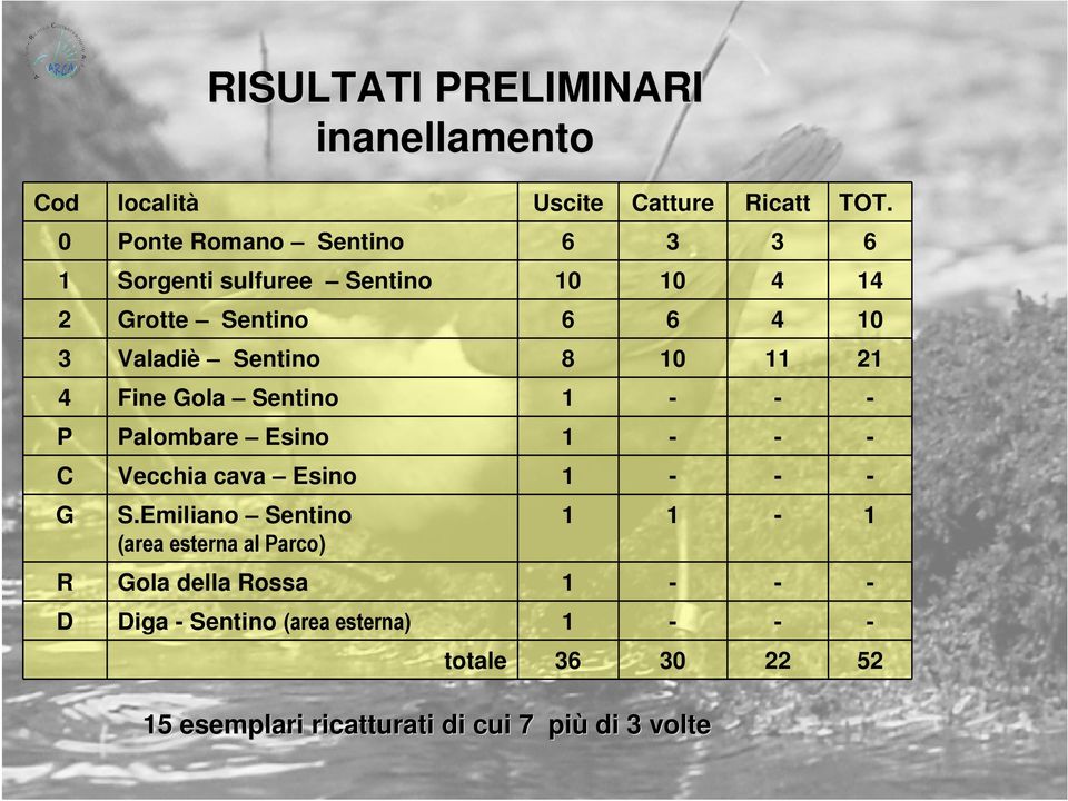 Sentino 8 10 11 21 4 Fine Gola Sentino 1 P Palombare Esino 1 C Vecchia cava Esino 1 G R S.