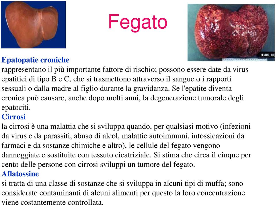 Cirrosi la cirrosi è una malattia che si sviluppa quando, per qualsiasi motivo (infezioni da virus e da parassiti, abuso di alcol, malattie autoimmuni, intossicazioni da farmaci e da sostanze