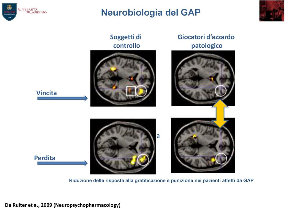 delle risposta alla gratificazione e punizione nei