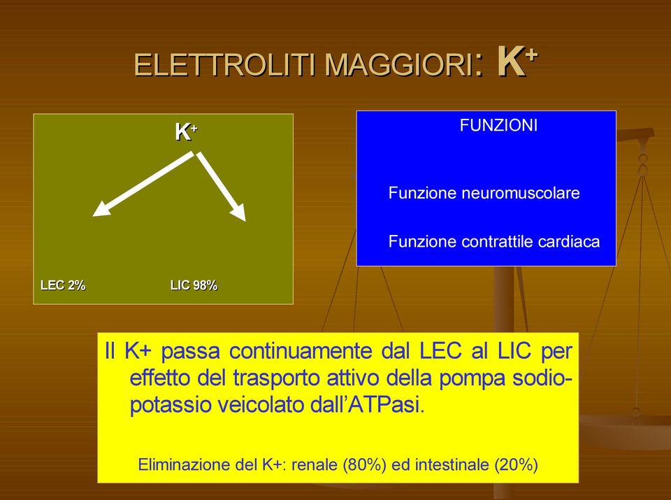 al LIC per effetto del trasporto attivo della pompa sodiopotassio