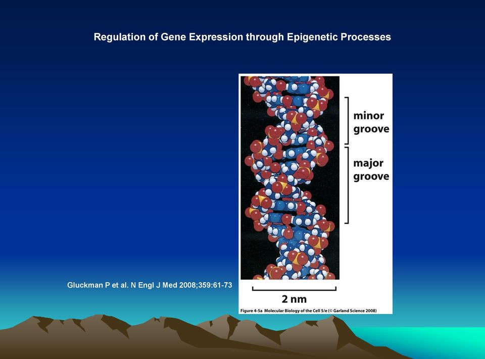 Epigenetic Processes