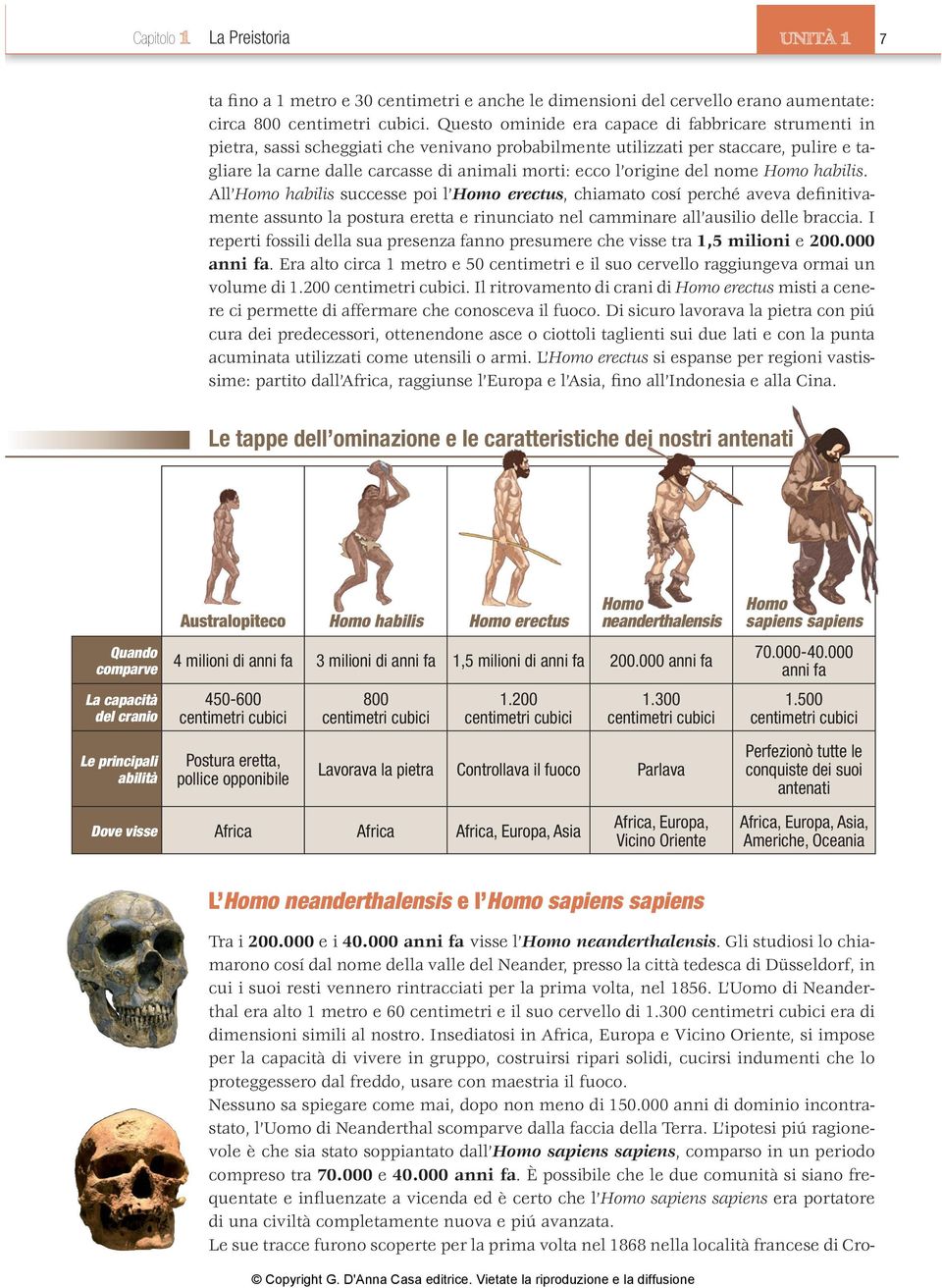 origine del nome Homo habilis. All Homo habilis successe poi l Homo erectus, chiamato cosí perché aveva definitivamente assunto la postura eretta e rinunciato nel camminare all ausilio delle braccia.