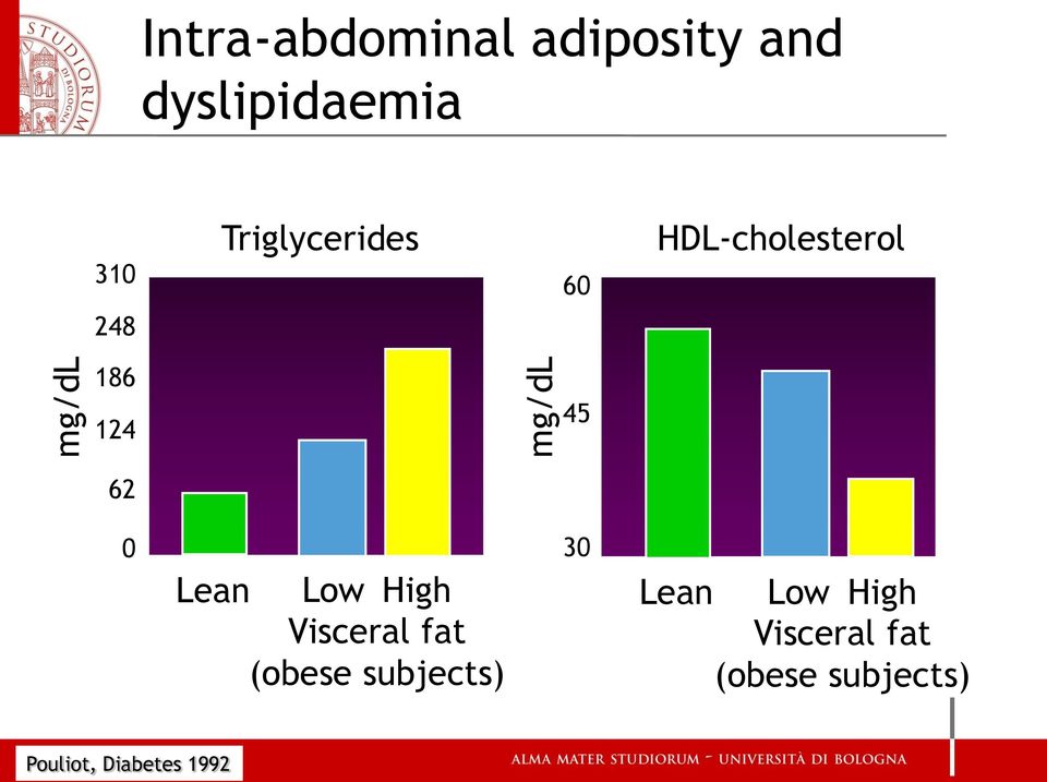 Lean Low High Visceral fat (obese subjects) 30 Lean Low