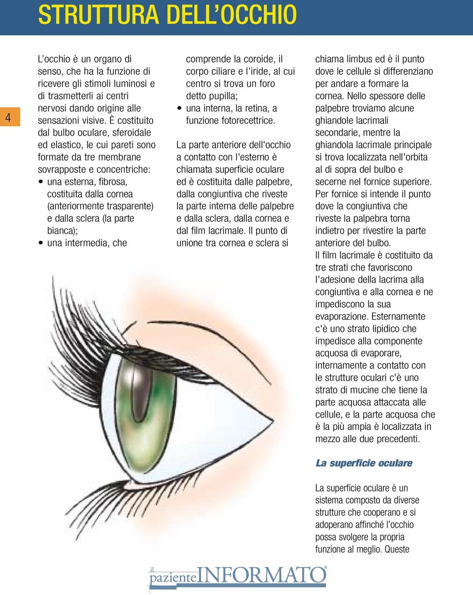 trasparente) e dalla sclera (la parte bianca); una intermedia, che comprende la coroide, il corpo ciliare e l iride, al cui centro si trova un foro detto pupilla; una interna, la retina, a funzione