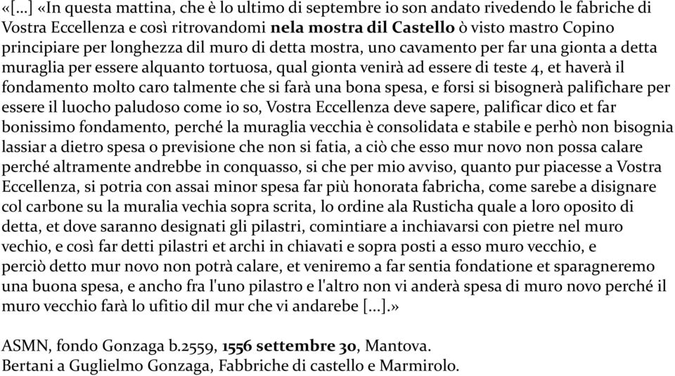 si farà una bonaspesa, e forsisi bisognerà palifichareper essere il luochopaludoso come io so, Vostra Eccellenza deve sapere, palificar dico etfar bonissimo fondamento, perché la muraglia vecchia è