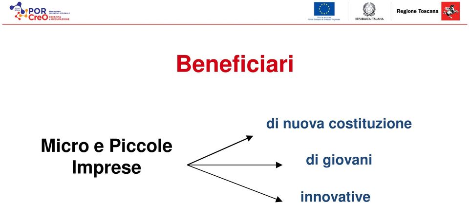 nuova costituzione