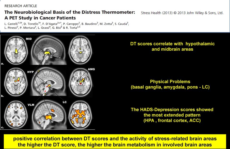 frontal cortex, ACC) positive correlation between DT scores and the activity of