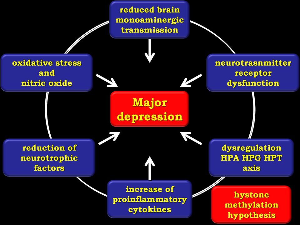 depression reduction of neurotrophic factors dysregulation HPA
