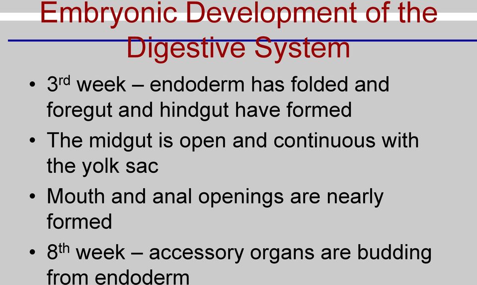 open and continuous with the yolk sac Mouth and anal openings