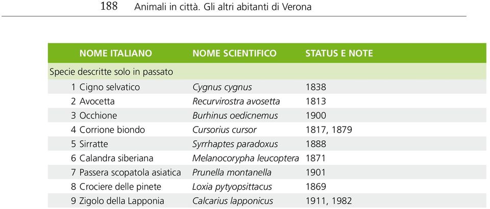 cygnus 1838 2 Avocetta Recurvirostra avosetta 1813 3 Occhione Burhinus oedicnemus 1900 4 Corrione biondo Cursorius cursor 1817, 1879