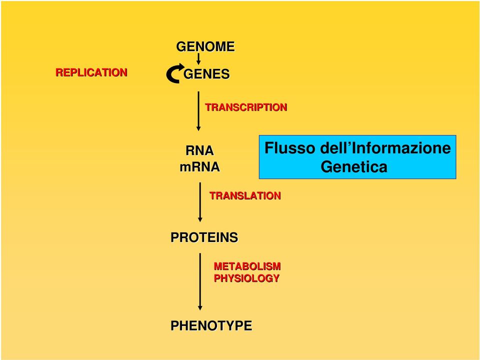 dell Informazione Genetica