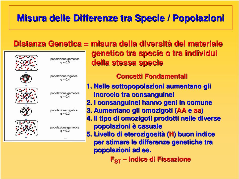 I consanguinei hanno geni in comune 3. Aumentano gli omozigoti (AA( e aa) 4.