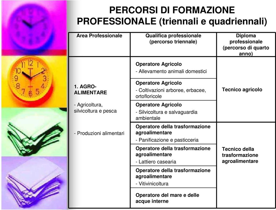 Agricolo - Coltivazioni arboree, erbacee, ortofloricole Operatore Agricolo - Silvicoltura e salvaguardia ambientale Operatore della trasformazione agroalimentare - Panificazione e