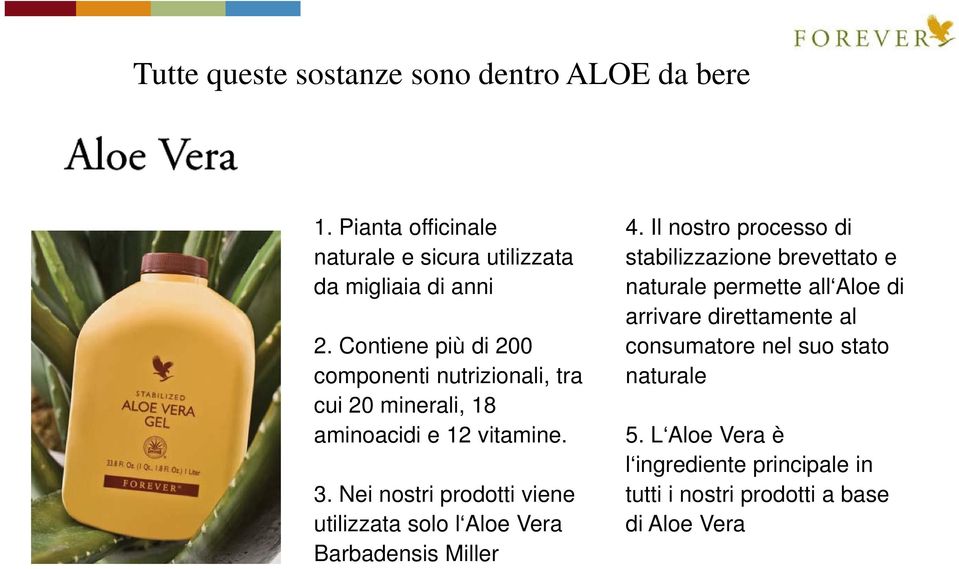 Nei nostri prodotti viene utilizzata solo l Aloe Vera Barbadensis Miller 4.