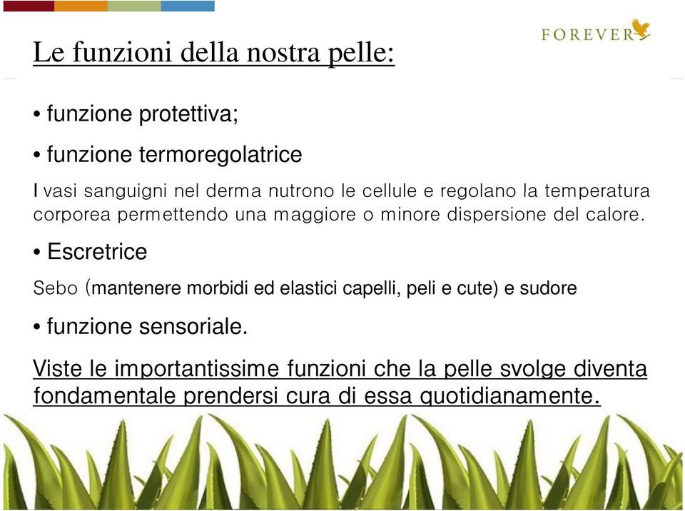 calore. Escretrice Sebo (mantenere morbidi ed elastici capelli, peli e cute) e sudore funzione sensoriale.