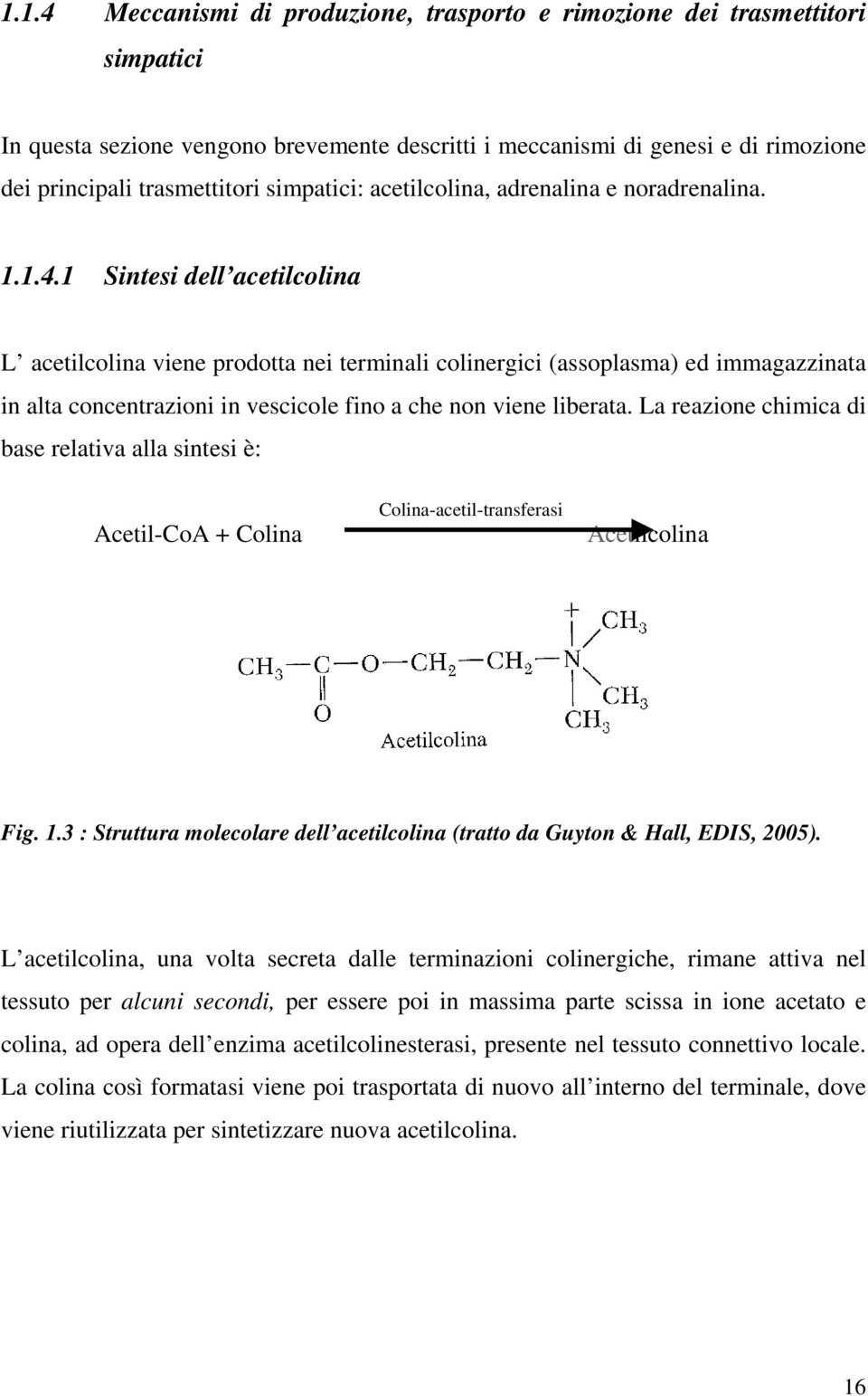 1 Sintesi dell acetilcolina L acetilcolina viene prodotta nei terminali colinergici (assoplasma) ed immagazzinata in alta concentrazioni in vescicole fino a che non viene liberata.