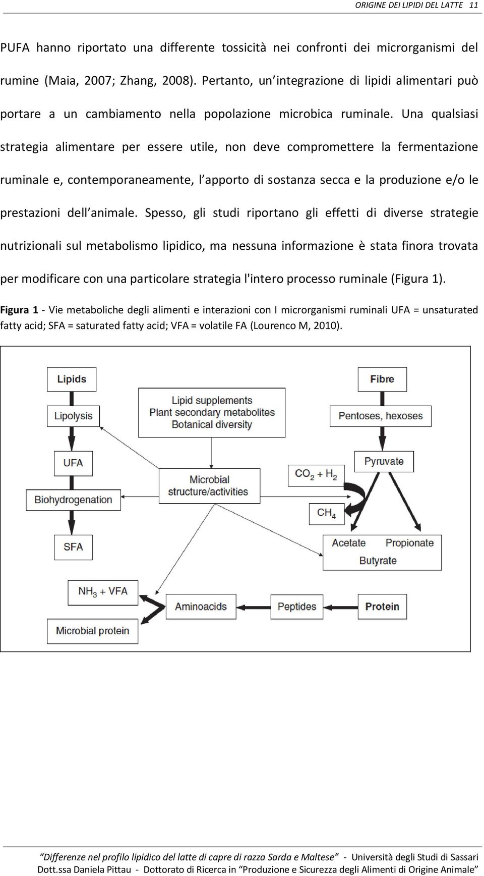 Una qualsiasi strategia alimentare per essere utile, non deve compromettere la fermentazione ruminale e, contemporaneamente, l apporto di sostanza secca e la produzione e/o le prestazioni dell