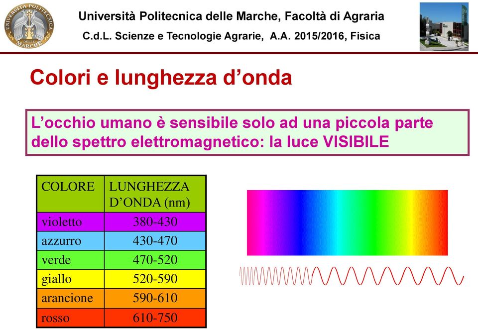 spettro elettromagnetico: la luce VISIBILE COLORE LUNGHEZZA D ONDA (nm)
