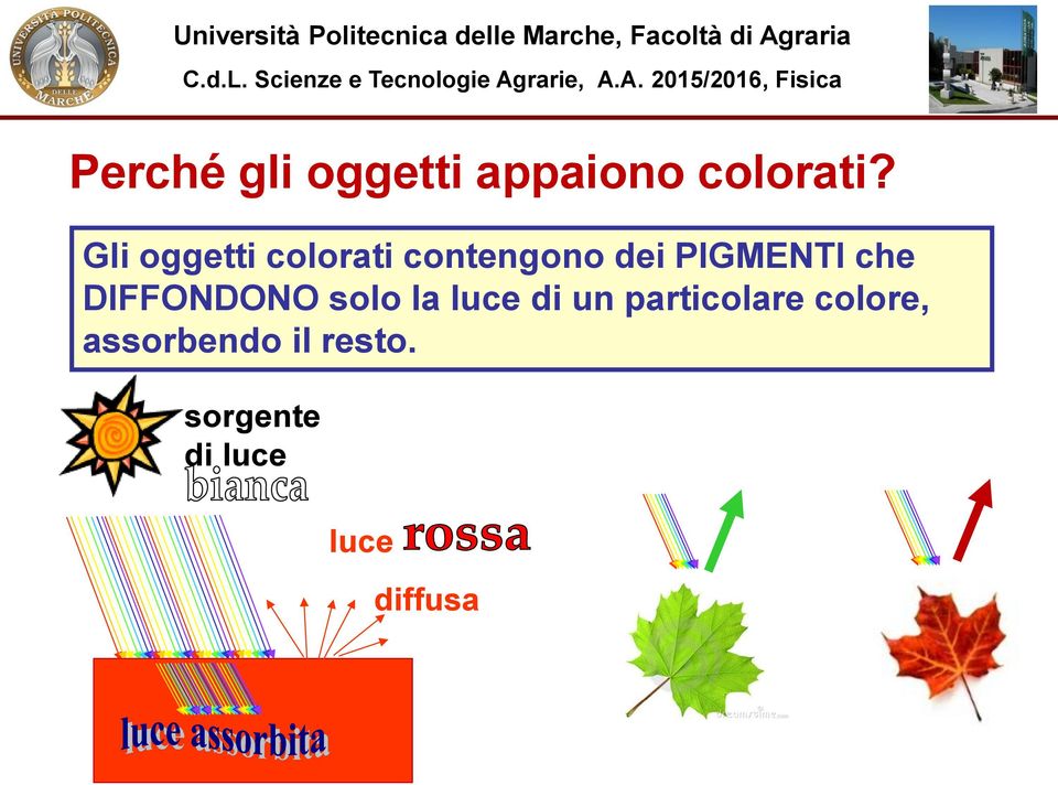 che DIFFONDONO solo la luce di un particolare