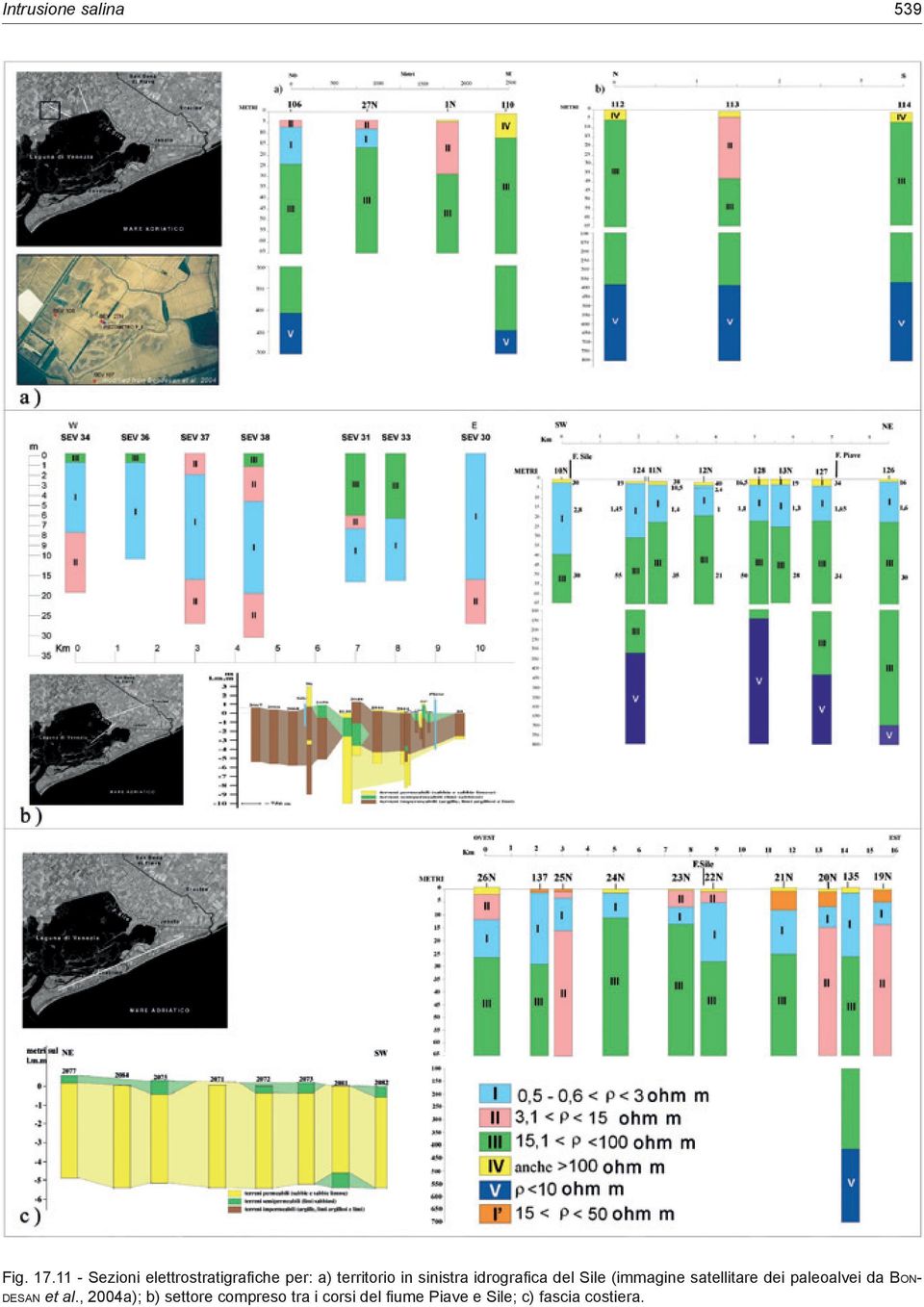 sinistra idrografica del Sile (immagine satellitare dei