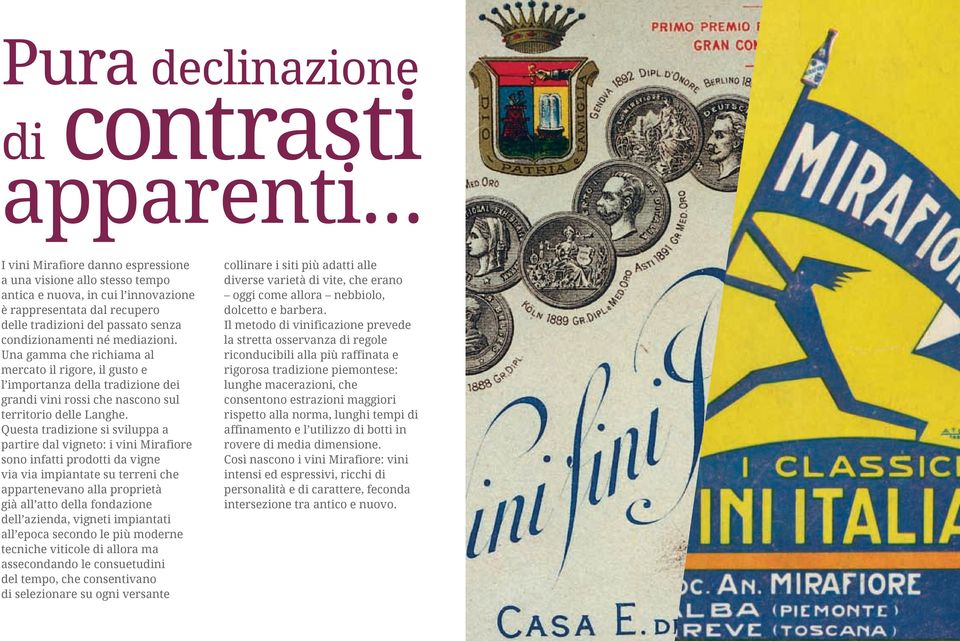 Una gamma che richiama al mercato il rigore, il gusto e l importanza della tradizione dei grandi vini rossi che nascono sul territorio delle Langhe.