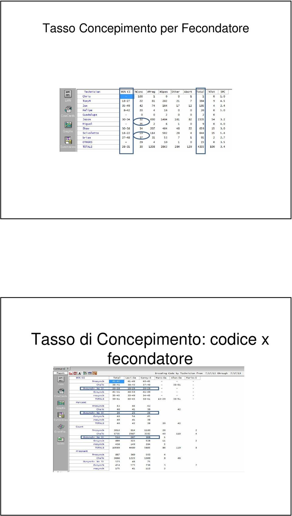 Tasso di