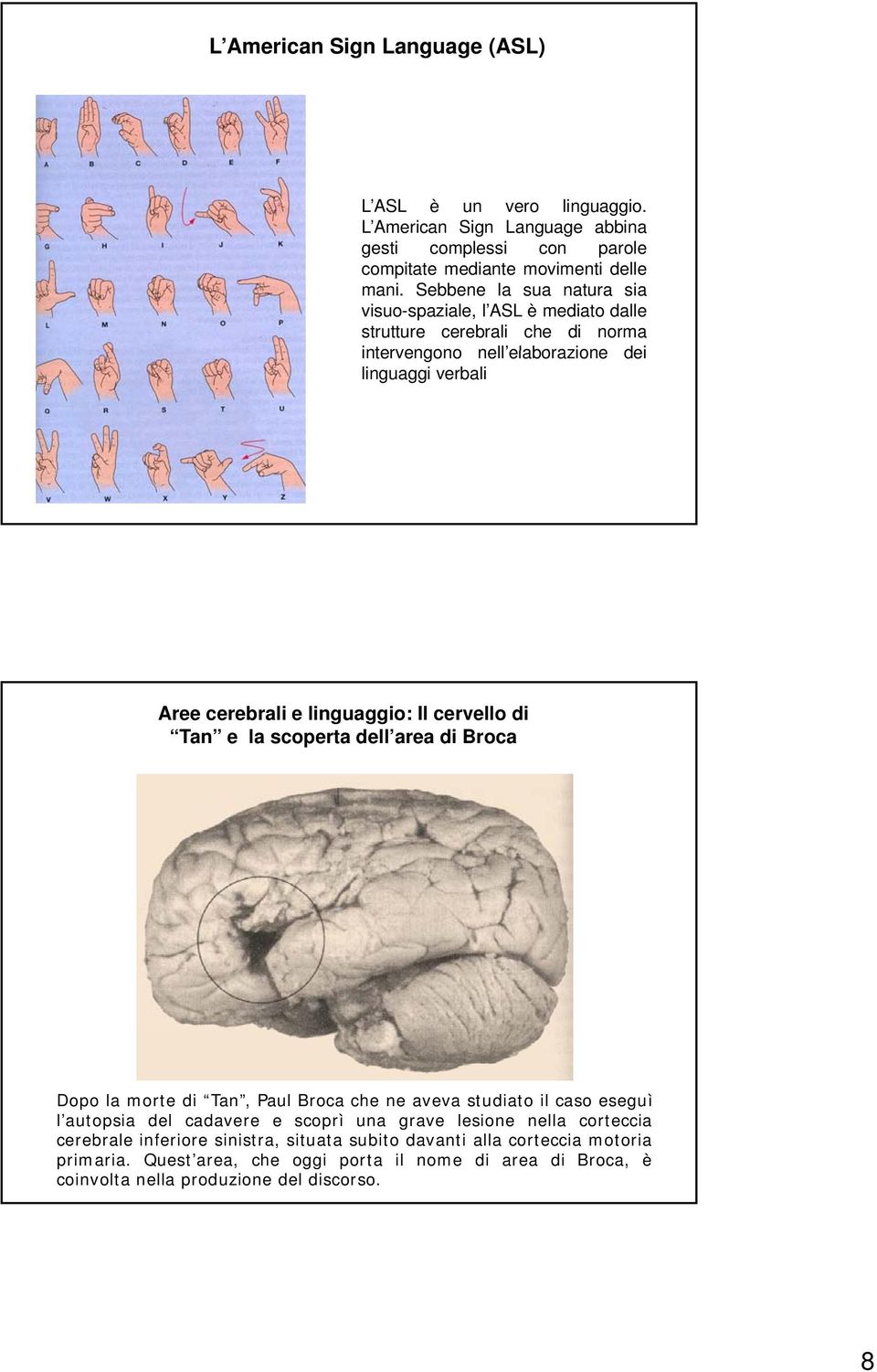 linguaggio: Il cervello di Tan e la scoperta dell area di Broca Dopo la morte di Tan, Paul Broca che ne aveva studiato il caso eseguì l autopsia del cadavere e scoprì una grave