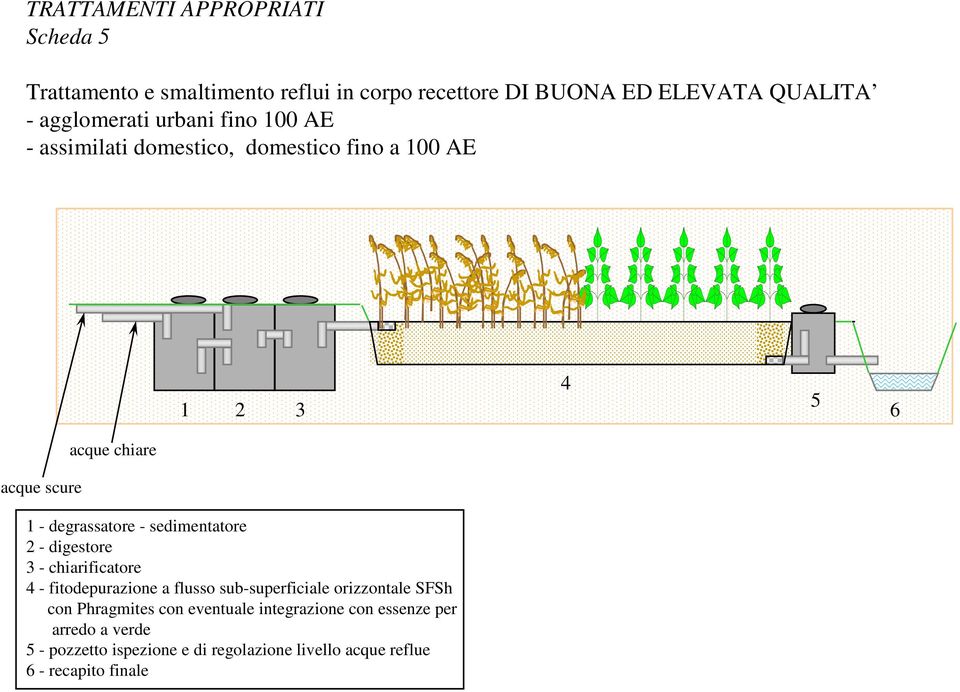 chiarificatore 4 - fitodepurazione a flusso sub-superficiale orizzontale SFSh con Phragmites con eventuale