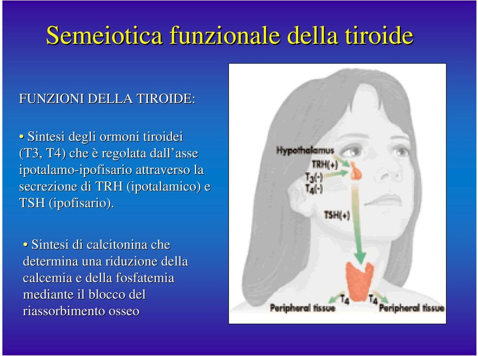 secrezione di TRH (ipotalamico( ipotalamico) ) e TSH (ipofisario).