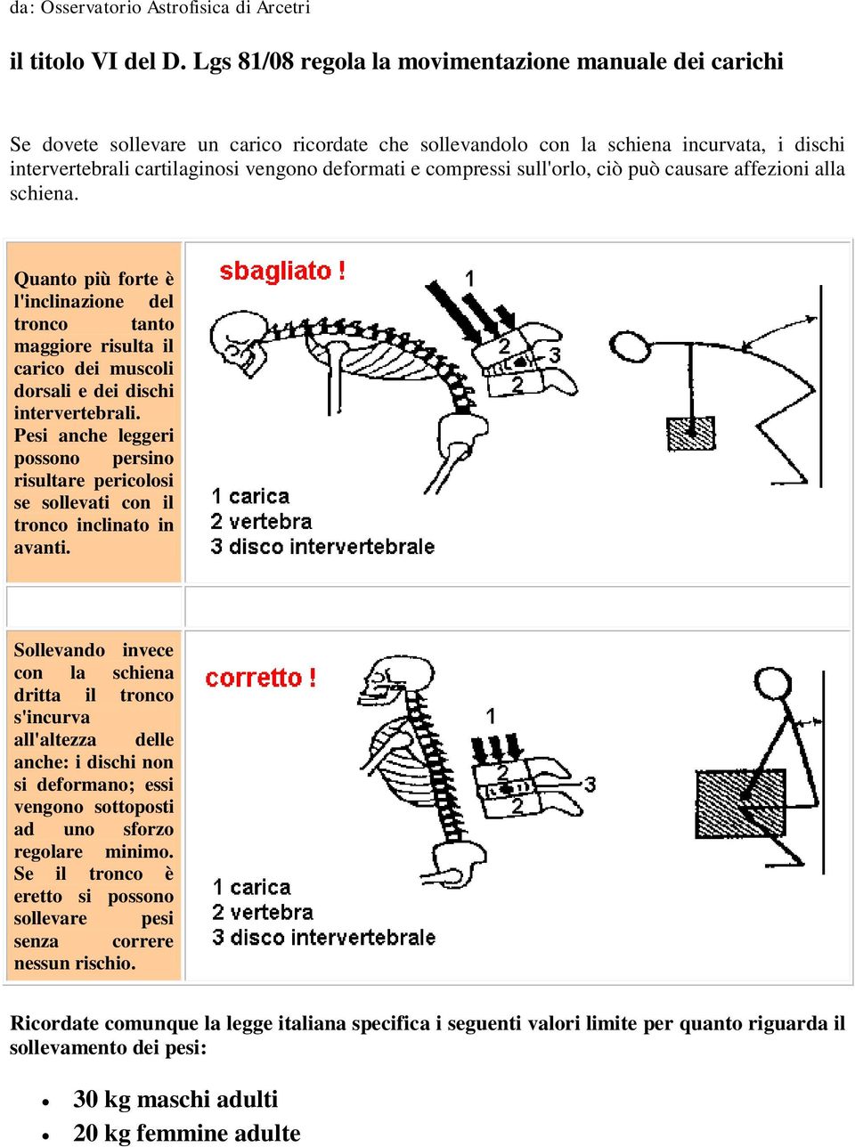 compressi sull'orlo, ciò può causare affezioni alla schiena. Quanto più forte è l'inclinazione del tronco tanto maggiore risulta il carico dei muscoli dorsali e dei dischi intervertebrali.