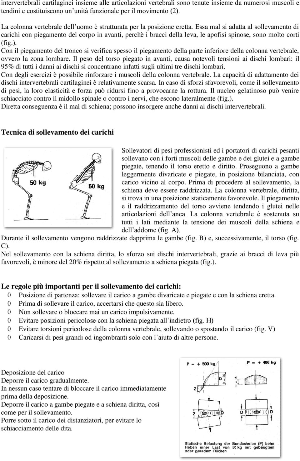 Essa mal si adatta al sollevamento di carichi con piegamento del corpo in avanti, perchè i bracci della leva, le apofisi spinose, sono molto corti (fig.).