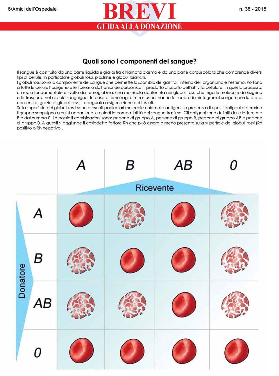 I globuli rossi sono la componente del sangue che permette lo scambio dei gas tra l interno dell organismo e l esterno.