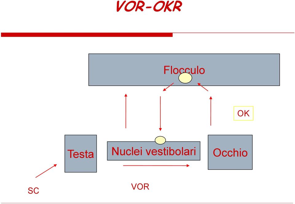 VOR-OKR Flocculo OK