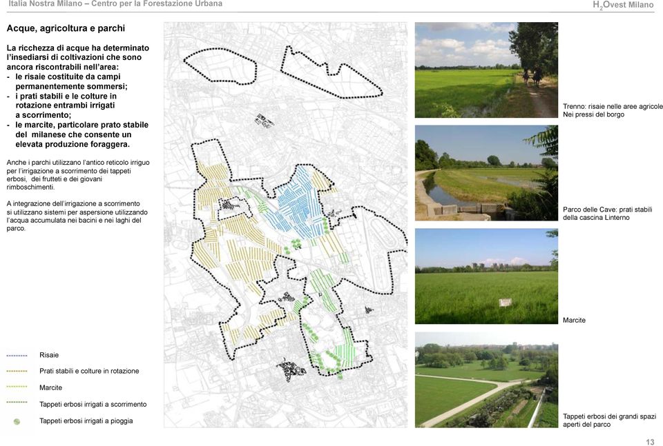 Trenno: risaie nelle aree agricole Nei pressi del borgo Anche i parchi utilizzano l antico reticolo irriguo per l irrigazione a scorrimento dei tappeti erbosi, dei frutteti e dei giovani