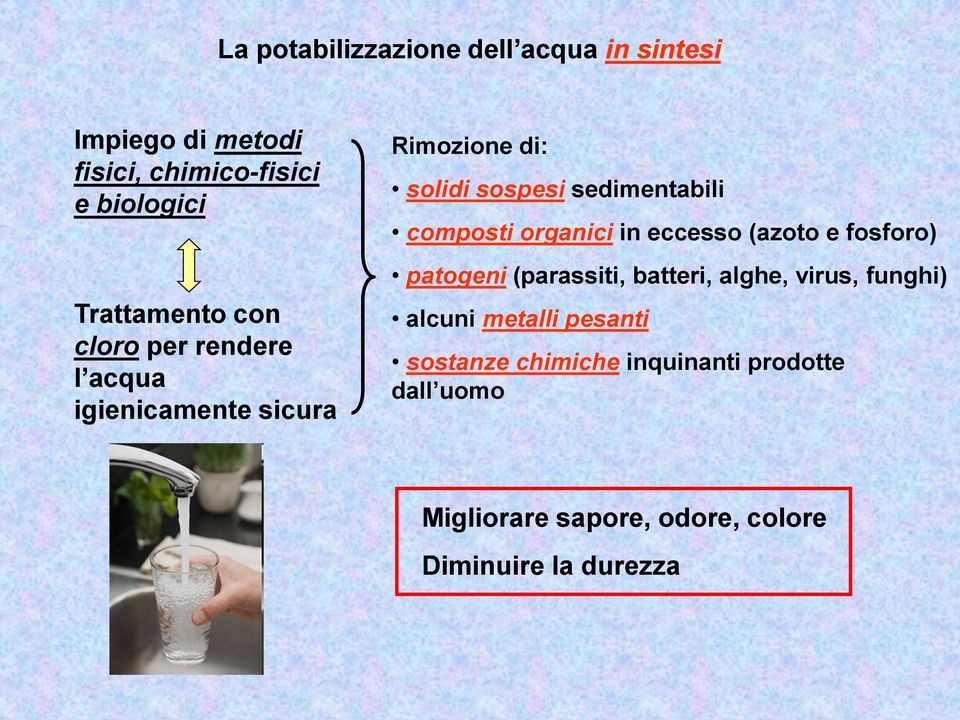 composti organici in eccesso (azoto e fosforo) patogeni (parassiti, batteri, alghe, virus, funghi) alcuni