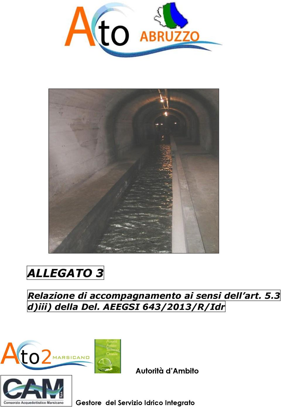 AEEGSI 643/2013/R/Idr Autorità d Ambito