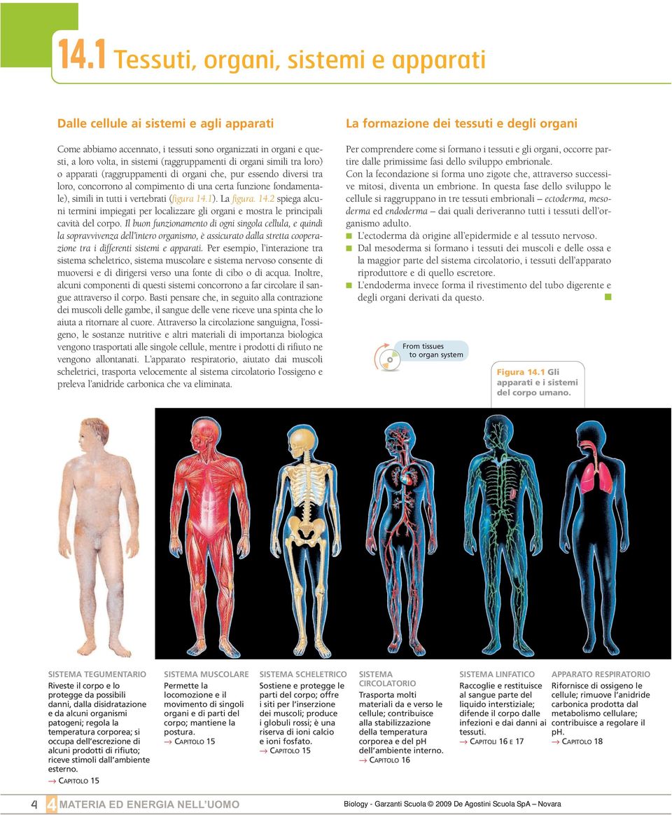 1). La figura. 14.2 spiega alcuni termini impiegati per localizzare gli organi e mostra le principali cavità del corpo.