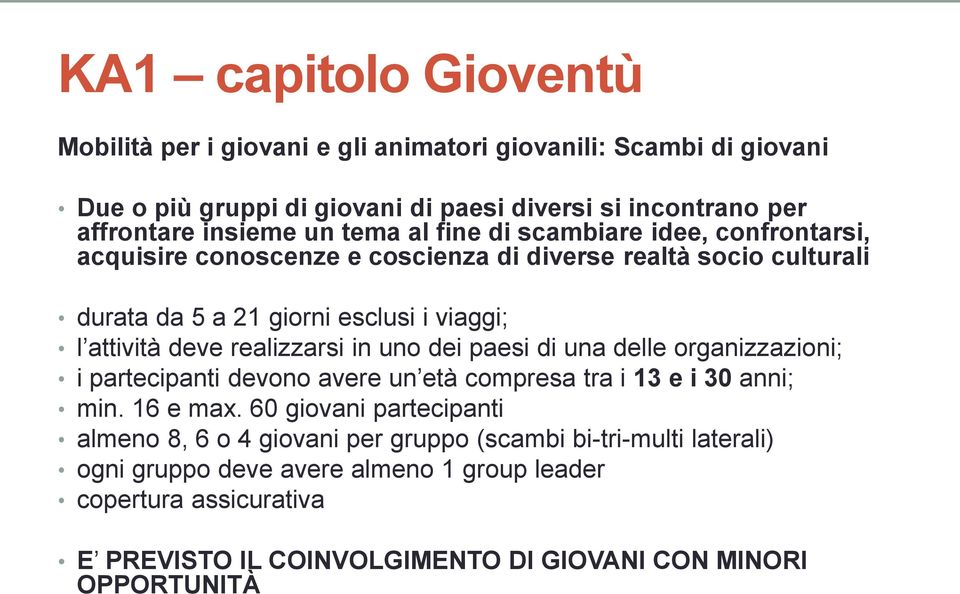 realizzarsi in uno dei paesi di una delle organizzazioni; i partecipanti devono avere un età compresa tra i 13 e i 30 anni; min. 16 e max.