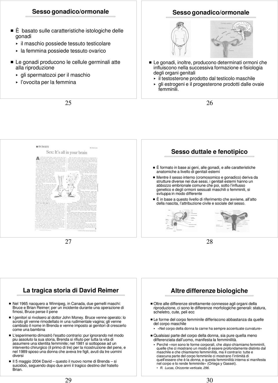 successiva formazione e fisiologia degli organi genitali < il testosterone prodotto dal testicolo maschile < gli estrogeni e il progesterone prodotti dalle ovaie femminili.