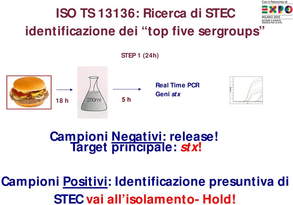 Campioni Negativi: release! Target principale: stx!