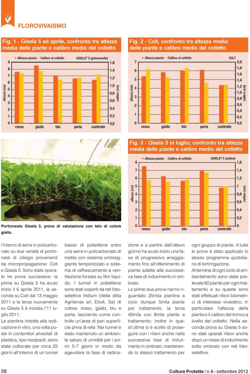 l interno di serre in policarbonato su due varietà di portinnesti di ciliegio provenienti da micropropagazione: Colt e Gisela 5.