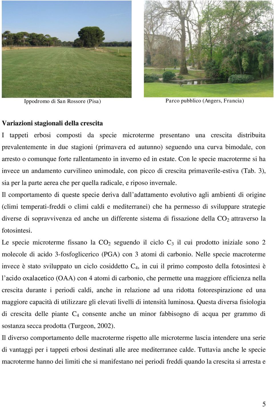 Con le specie macroterme si ha invece un andamento curvilineo unimodale, con picco di crescita primaverile-estiva (Tab. 3), sia per la parte aerea che per quella radicale, e riposo invernale.