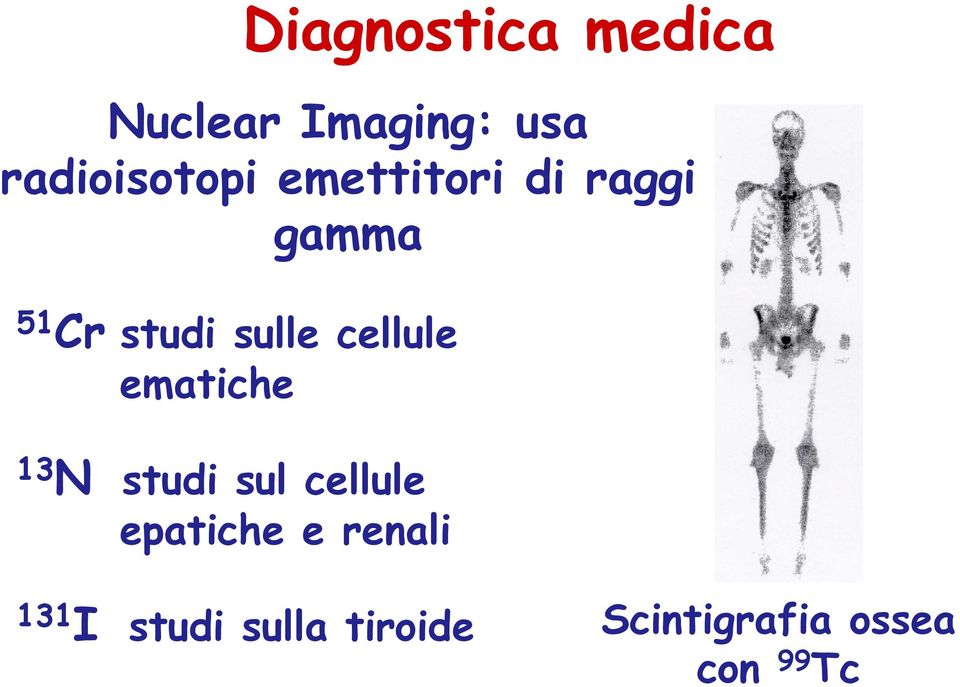 sulle cellule ematiche 13 N studi sul cellule