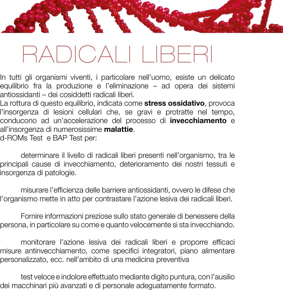 La rottura di questo equilibrio, indicata come stress ossidativo, provoca l insorgenza di lesioni cellulari che, se gravi e protratte nel tempo, conducono ad un accelerazione del processo di