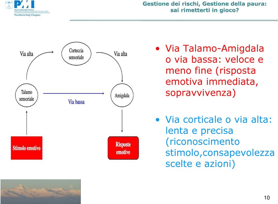 Via corticale o via alta: lenta e precisa